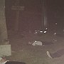 IMG_7433
