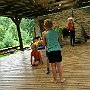 IMG_6461