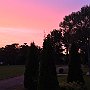 IMG_6521